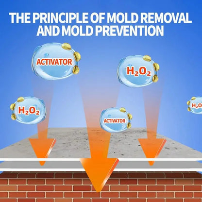 Highly Effective Mould Removal Spray