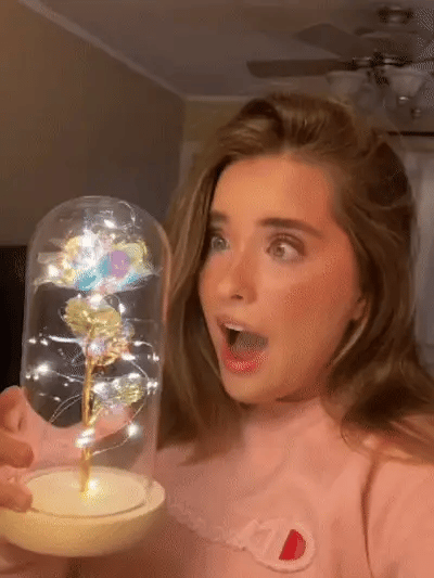 Cinderella Rose™ - Led Glass Dome | Valentine’s Day Special
