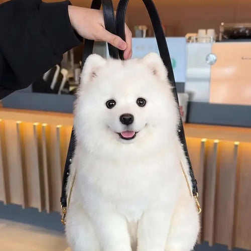 Dog Backpack