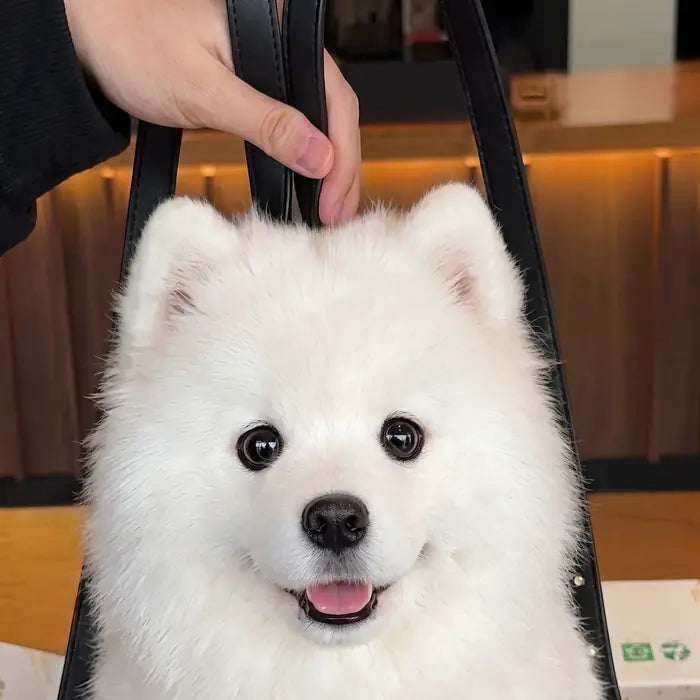 Dog Backpack
