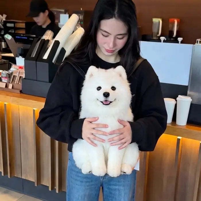 Dog Backpack