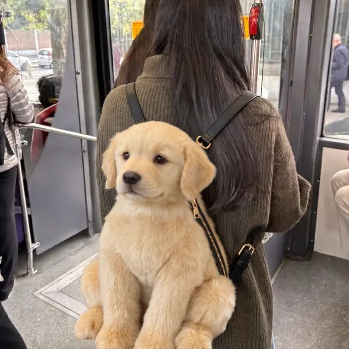 Dog Backpack